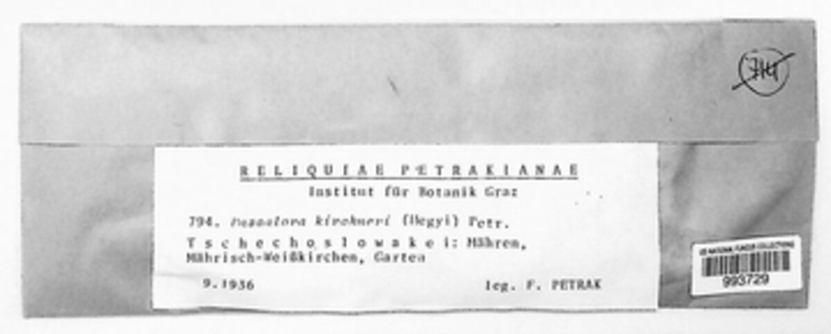 Marssonina kirchneri image